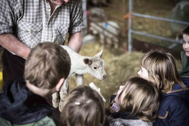 New research has found that children are less likely than adults to think of animals as food (photo: Mint Images - Emily Hancock)