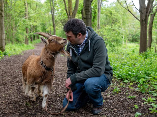 David Hughes takes his pet goat Boo for a walk around their home in Milton Keynes. 
