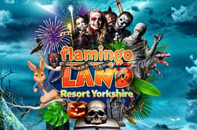 Flamingo Land