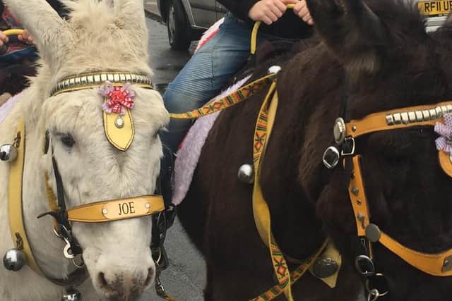 A free entry Christmas Festival will be held at Pontefract New College this Saturday with donkey rides, Santa's Grotto and an ice rink.