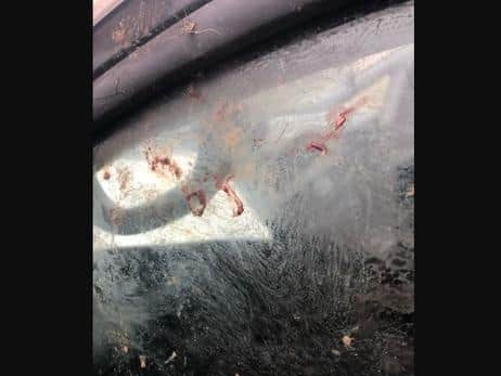 Animal rights activists have released shocking footage of a man attacking one of their vehicles with a dead fox, leaving blood and body parts on the windows, after they disrupted a hunt in Kirk Smeaton.