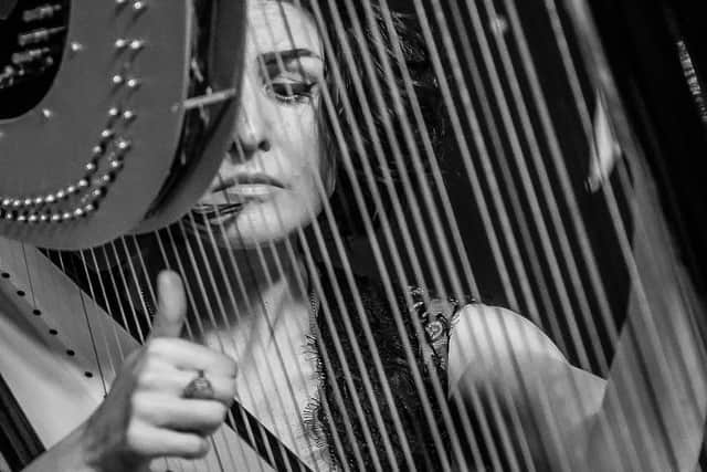 Alina Bzhezhinska presents her Hip Harp at Wakefield Jazz on Friday.