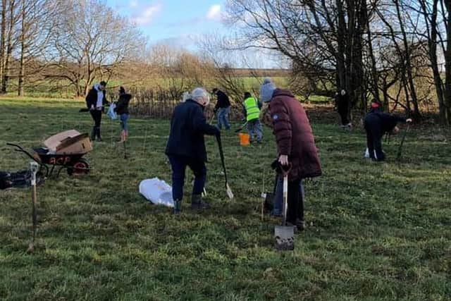 Members of the community all joined together to plant over 400 trees.