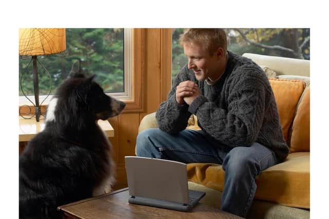 Some dogs may struggle when we are released from lockdown.