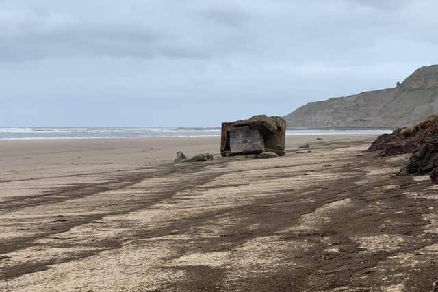 The beetles covering the sand at Cayton Bay. Picture from Jack Dickens
