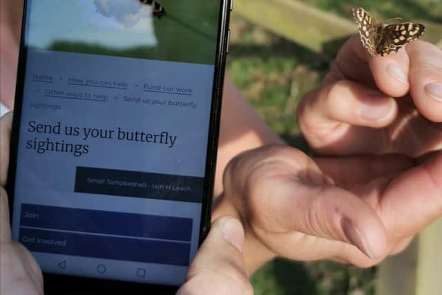 Butterfly Conservation is urging people to send in sightings during lockdown.