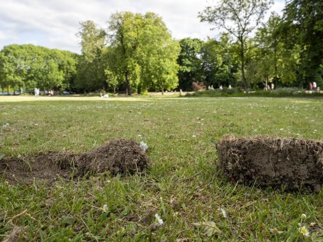 Turf has been dug up around Thornes Park.