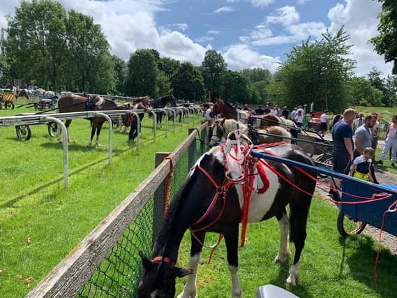 The unofficial horse fair at Pontefract Park. (photo by Paul Julian)
