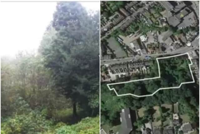 The wood contains a number of mature old trees, many of which are under protection orders.