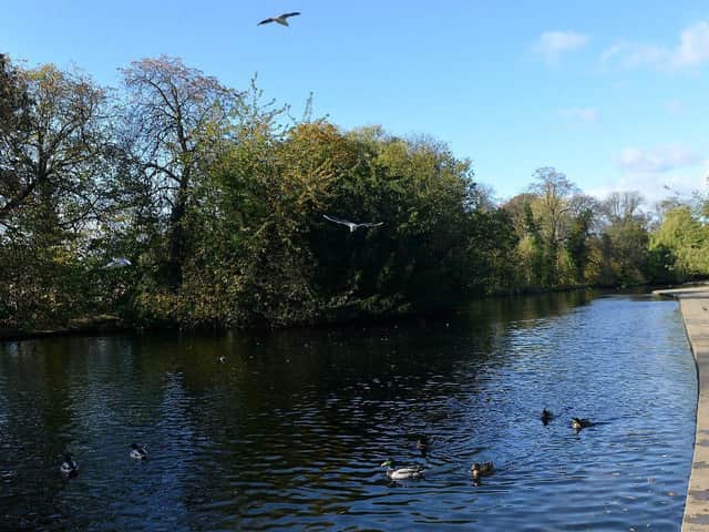 Dozens of dead fish have been spotted floating on the lake at Wakefield's Thornes Park. Pictured is the lake in 2012.