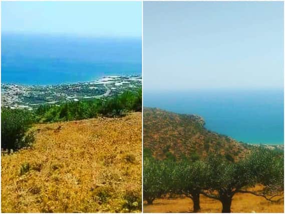 A Wakefield family are auctioning off more than 63,000 square feet of land in Crete, with tickets just £2. Photos: Paul Riley