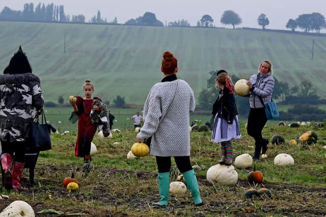 Tickets are now on sale for the annual pumpkin festival at Farmer Copleys, with pumpkins starting from just £1.50. Pictured are families at the festival in 2019.