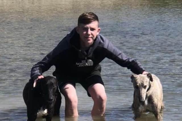 Ryley was out walking his dogs, Scooby and Billy, when he spotted the young child with his legs dangling in the water