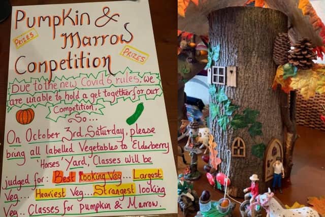 And Brian Marshall scooped up the most awards, his prize was a handmade model of a fairy woodland house