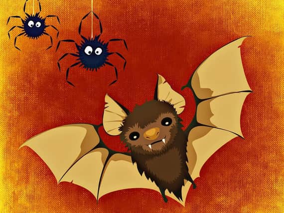 Bats and spiders are associated with Halloween