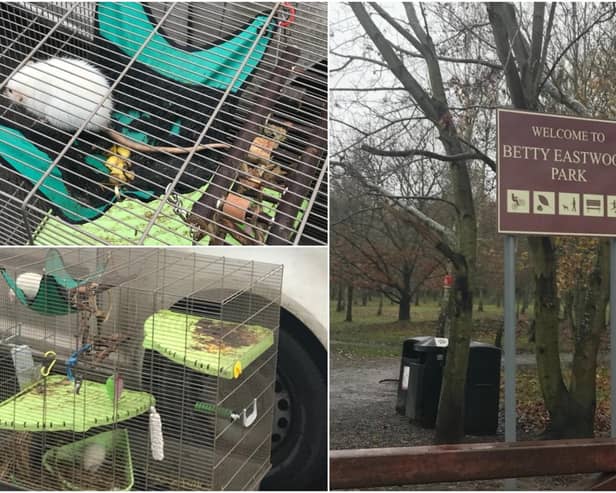 The two young adult female rats had been dumped in a large cage at the entrance to Betty Eastwood Park on  Haveroid Lane on Friday, December 11.