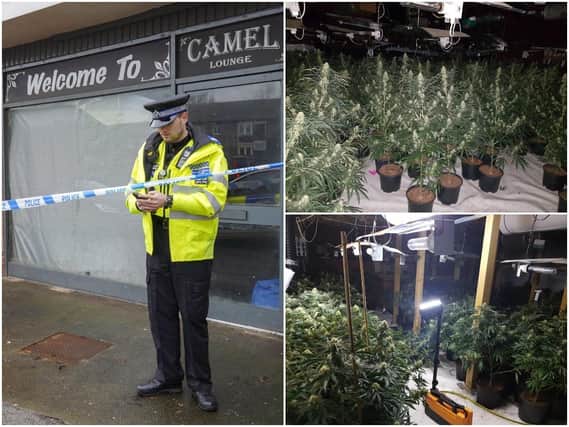 A cannabis farm uncovered in Wakefield city centre has an estimated worth of £1 million, and links to organised crime and human trafficking, police have confirmed.