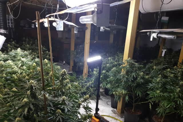 But officers have now revealed that the farm, which house around 3,000 cannabis plants, has an estimated value of more than £1m. Photo: West Yorkshire Police