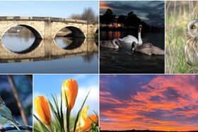 Spring has finally sprung in Wakefield and the Five Towns.