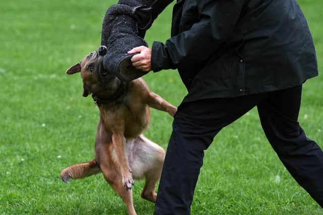 More police dogs will be required, the force has said.