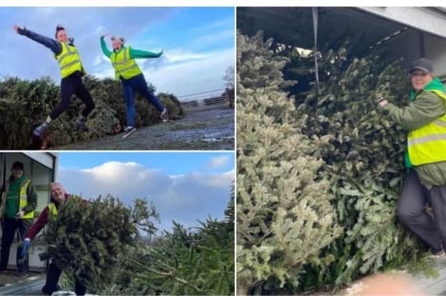 Over 1,800 trees were collected from homes and businesses across the district