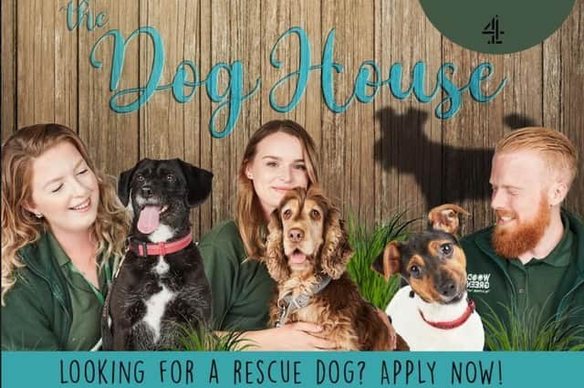If you're looking for a four-legged friend to welcome into your home then this show could be just for you.
