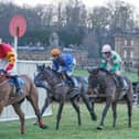 Purse Price at Duncombe Park's Sinnington meeting

Photo by Tom Milburn Photography