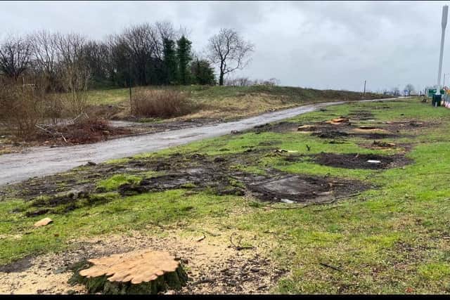 A newly rewilded nature area will be formed close to the junction, in a bid to offset the scheme's carbon footprint. 
Picture courtesy of Coun Jack Hemingway/Facebook