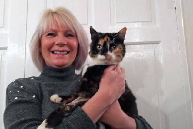 A microchip check at a local vets confirmed Topsey belonged to Alison Jubb, from Sheffield, who’d reported her missing in June.