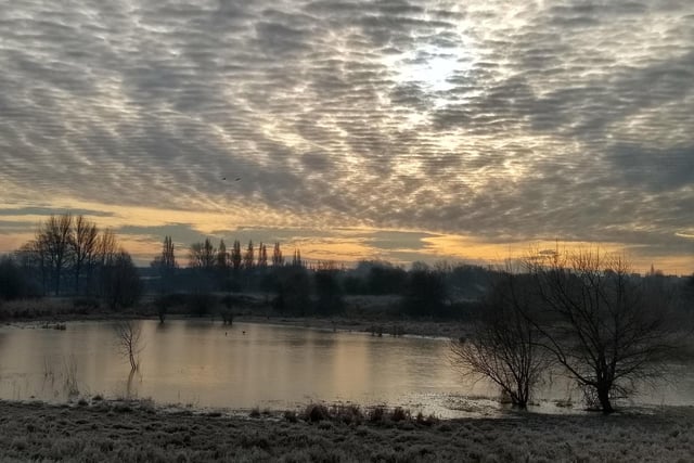 Winter light over Whitwood marshes, Castleford, by Denise Rowlinson.