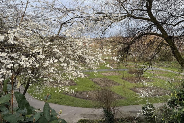 Early spring blossom, looking over the Rose Garden, Friarwood Valley Gardens, by Dr Colin White.