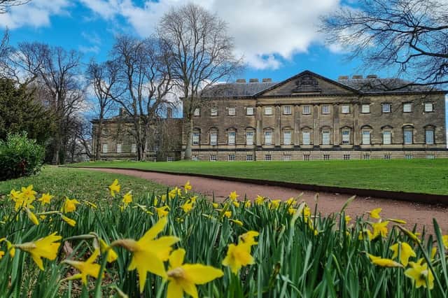 Spring flowers at Nostell Priory, by Sue Billcliffe.