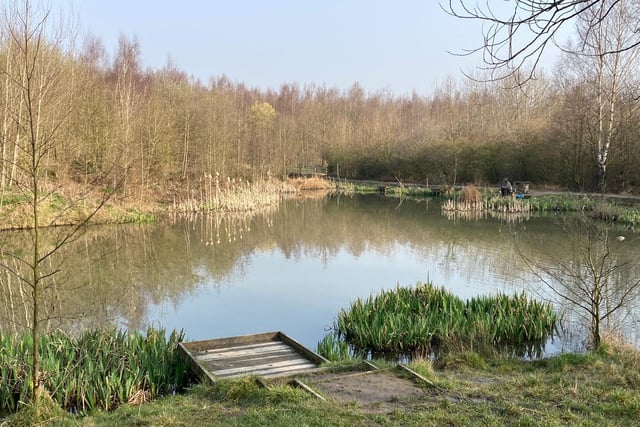 A spring sunny morning at Lofthouse Colliery Nature Park, by Alan Barnes.