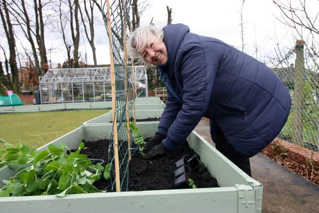 Edible gardening club Grow Wakefield has made disabled gardeners welcome at its Pontefract site