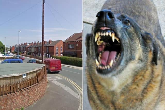A dog has been attacking people in the South Kirkby area.
