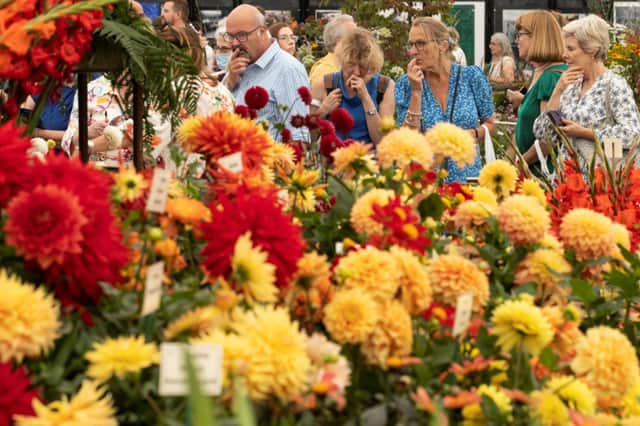 Fancy winning two tickets to the Chelsea Flower Show?