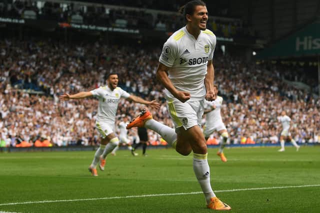 Pascal Struijk celebrates his late equaliser for Leeds United against Brighton that gives the Whites a chance of stopping up in the Premier League.