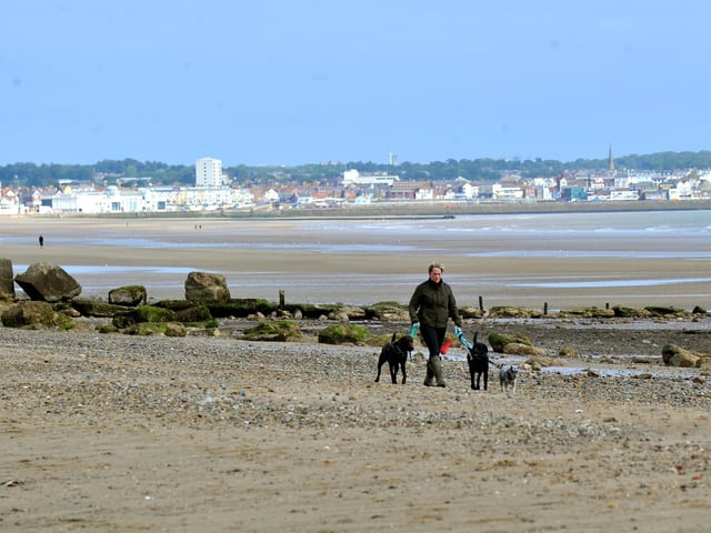 Finding a beach where your hounds can roam freely isn’t always easy, due to different seasonal restrictions applying to various beaches. Luckily, TripAdvisor users have come to the rescue and suggested that the most dog-friendly beaches in Yorkshire are ...
1 Mappleton Beach, East Riding.
2 Fraisthorpe Beach, Fraisthorpe, East Riding.
3 Cayton Bay Beach, North Yorkshire.
4 Saltburn Beach, North Yorkshire.
5 Filey Beach, North Yorkshire.