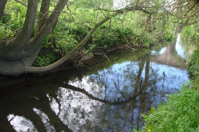 Reflections in the River Went at Ackworth, by Wendy Healy.