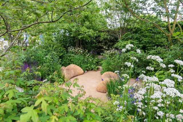 Jamie Butterworth's Gold medal garden at Chelsea