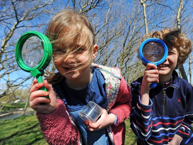 Wildlife Watch: We are all being encouraged to take part in Yorkshire Wildlife Trust‘s Great Yorkshire Creature Count.