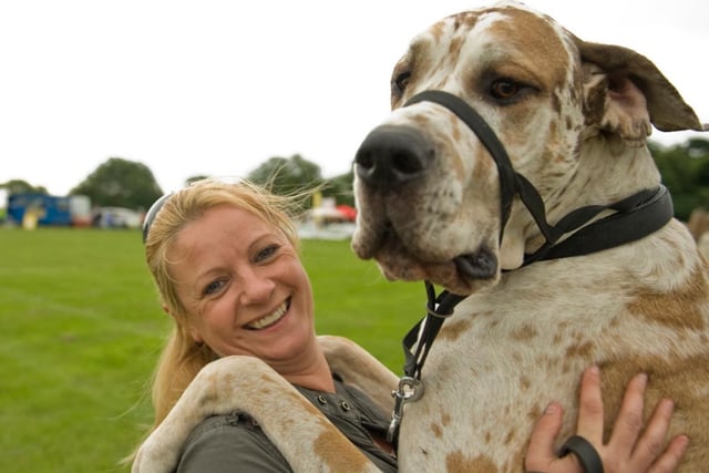 Carr Lodge Park Festival - Jeannette Olace with Hector.