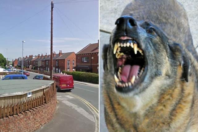 The dog had attacked people in South Kirkby.