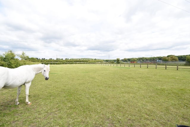 Fenced paddocks are of varied sizes, ideal for horses or livestock.