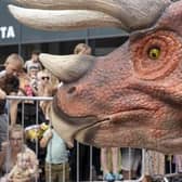 And after last year's roaring success, they promise to be bigger and better than ever - and this year, the event has been extended to a two week dinosaur extravaganza.
