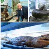 Wakefield is to lose a famous collection of preserved animals and objects which belonged to Victorian conservationist Charles Waterton.