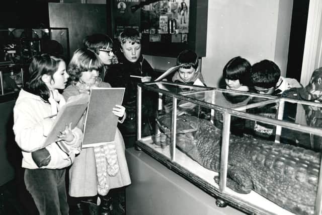 Sandal Magna First School pupils admiring the caiman on a trip to Wakefield Museum in 1983.