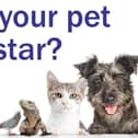 The winner will be crowned our Top Pet and scoop a £50 voucher.
