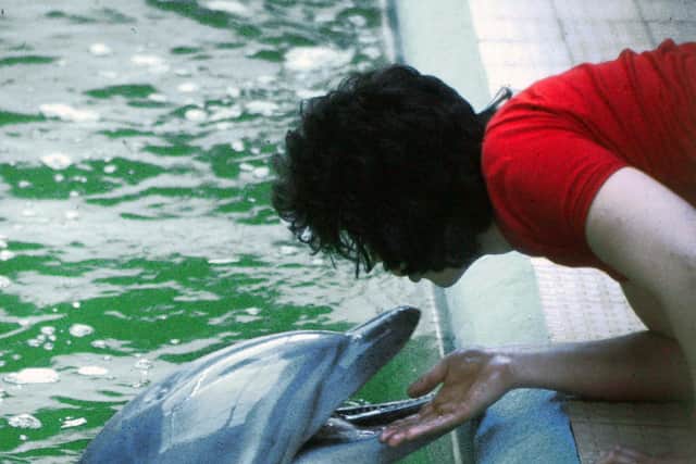 David pictured with one of his favourite dolphins
