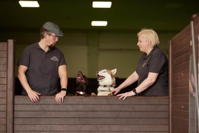 As this year’s Wakefield Express Excellence in Business Awards open for entries, we check in with the reigning champions of the event - groundbreaking doggy day care group Barkley and Co.